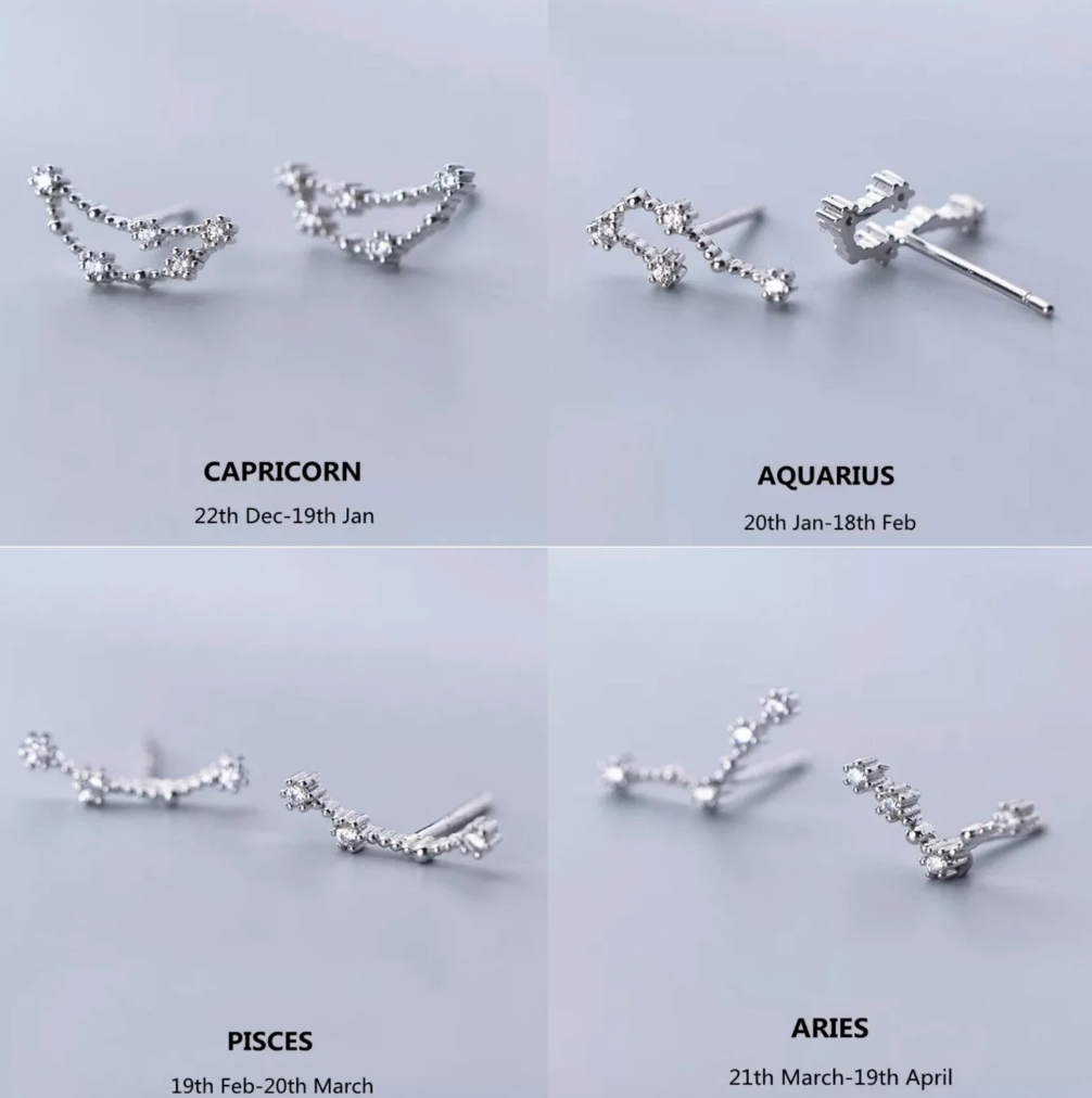 Zodiac Constellation Gift Earrings|Zodiac Sign Earrings