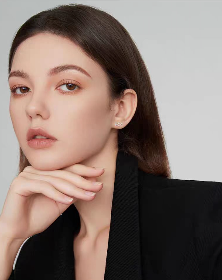 Zodiac Constellation Gift Earrings|Zodiac Sign Earrings