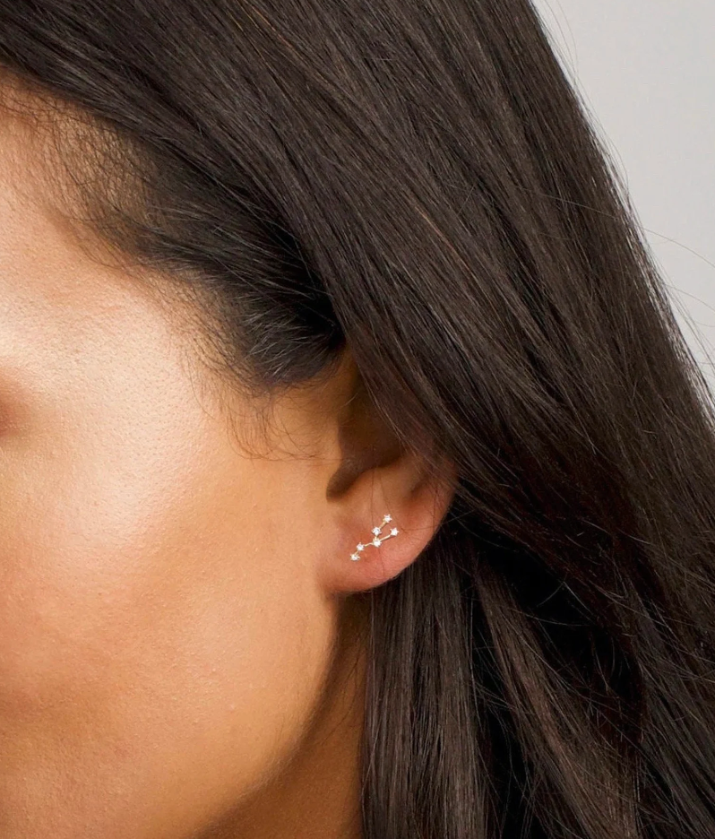 Zodiac Constellation Gift Earrings|Zodiac Sign Earrings