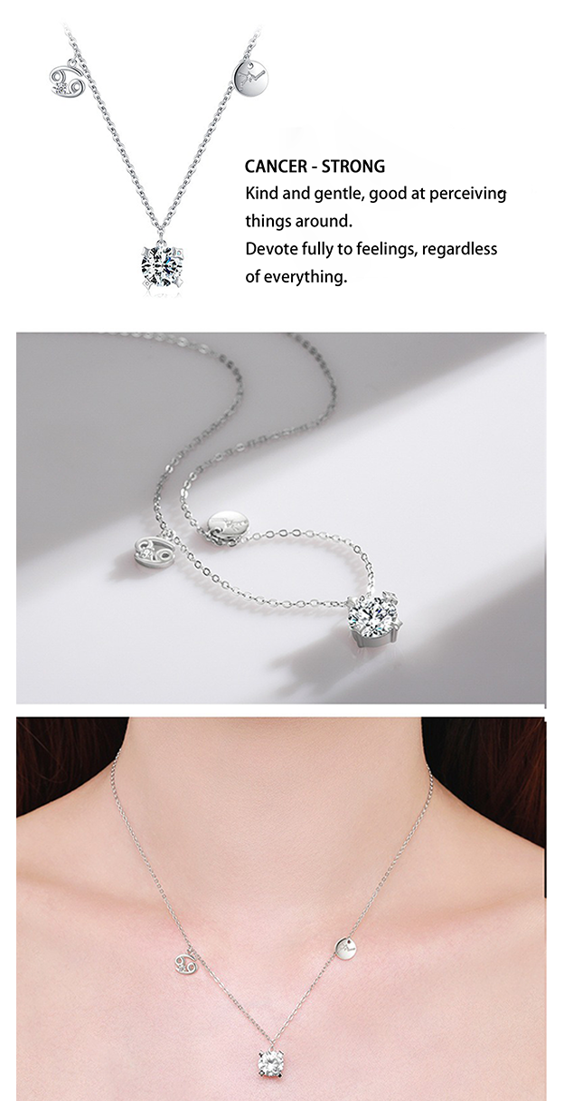 Zodiac S925 Sterling Silver Necklace