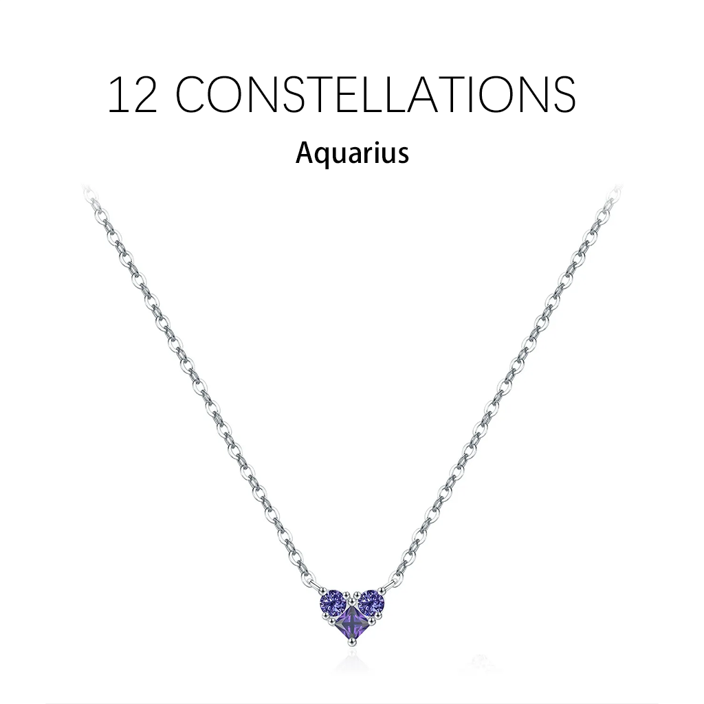 Zodiac Heart 925 Silver Necklace
